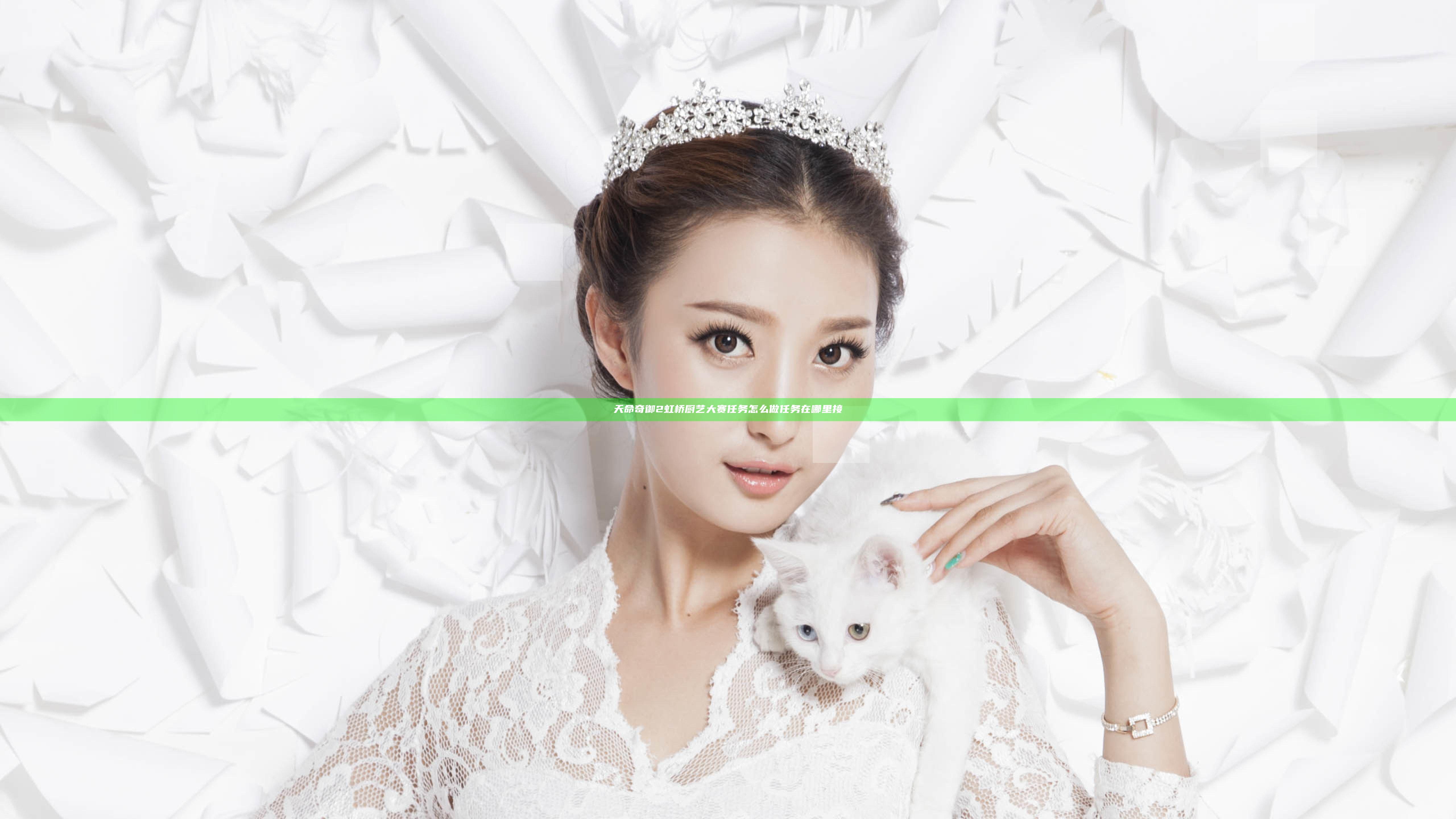 天命奇御2虹桥厨艺大赛任务怎么做 任务在哪里接