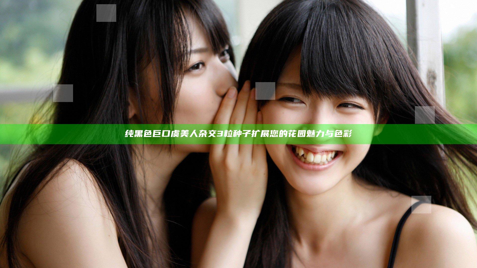 纯黑色巨口虞美人杂交3粒种子 扩展您的花园魅力与色彩